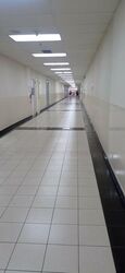 Imm Building (D22), Factory #477778291